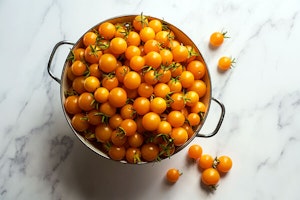 sungold tomato summerwinds arizona