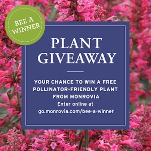 bee a winner plant giveaway for a chance to win a free pollinator from monrovia