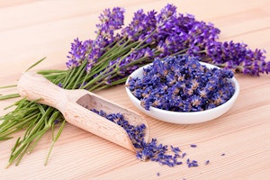 dried lavender in scoop summerwinds arizona