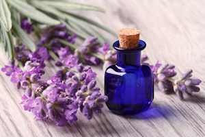 lavender infused essential oil in blue flask summerwinds arizona