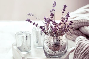 bouquet of dried lavender for home decor summerwinds arizona