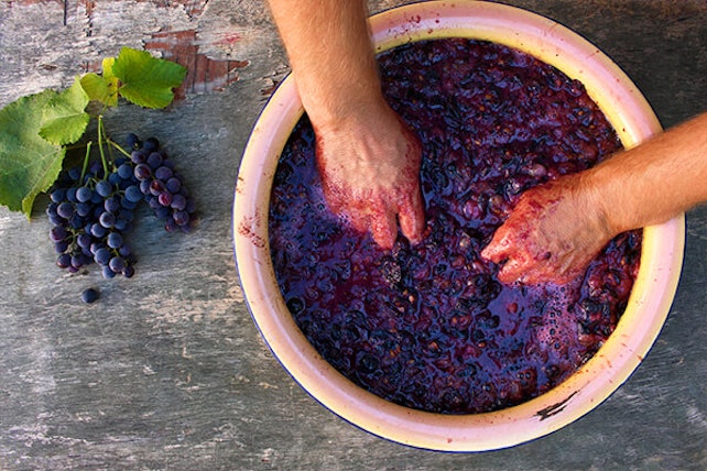 mashing pressing grapes wine summerwinds arizona