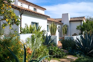 desert yard summerwinds arizona