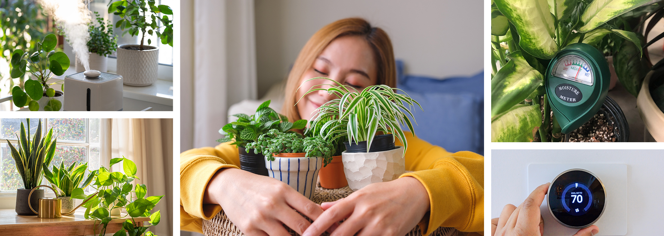 5 images: houseplants with humidifier, watering can, a moisture meter, a woman smiling, and someone setting the thermostat to 70 F.