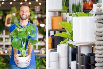 A SummerWinds Associate holding a potted houseplant, and black, peach and white houseplant pots, a stone sculpture, and a houseplant.