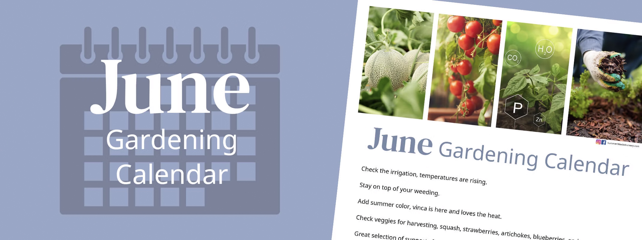 june gardening calendar showing the tips