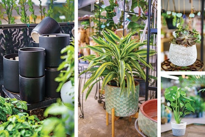 A variety of pots for indoors - black, light green textured with a stand, white with pattern, and white and grey fabric.