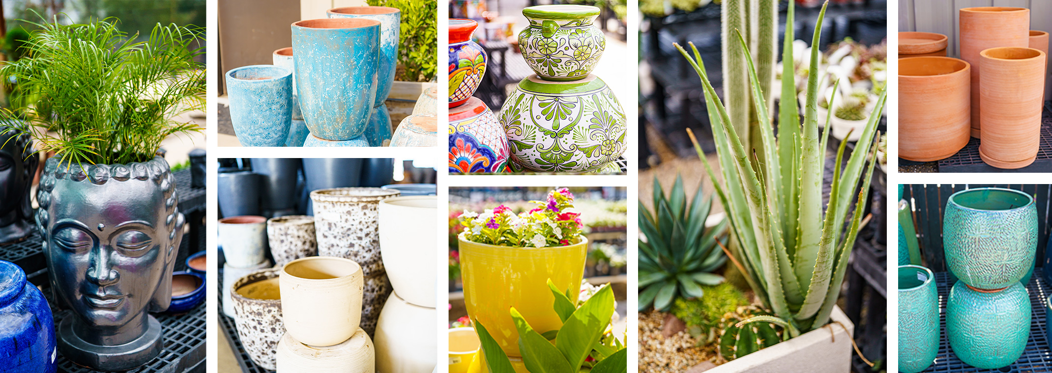 A wide variety of outdoor planters at pots available at SummerWinds Nursery.