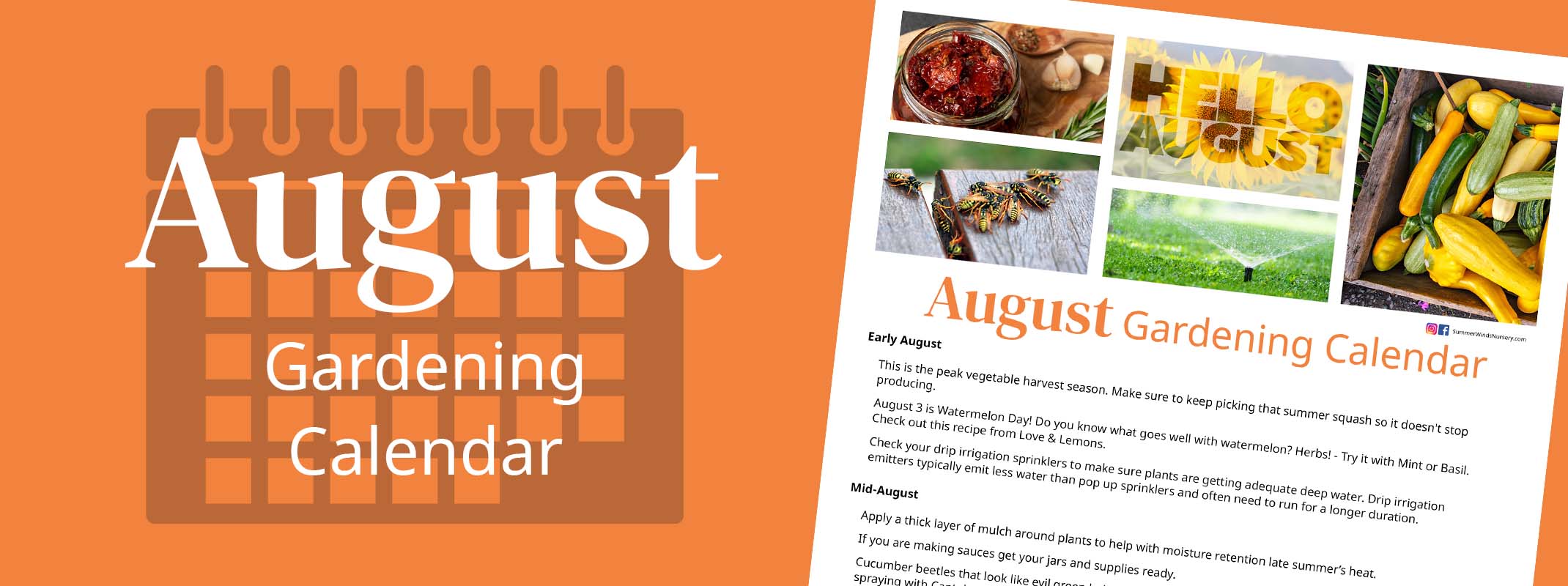 August gardening calendar banner