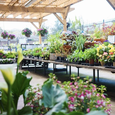 Tables of flowers and plants