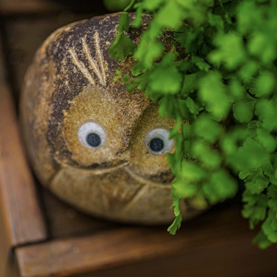 Owl ornament underneath plant