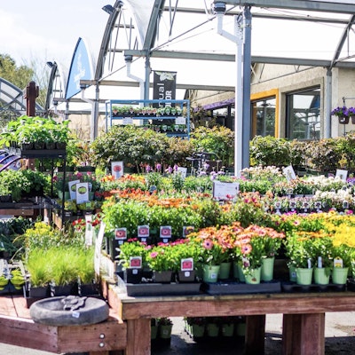 Plants on tables