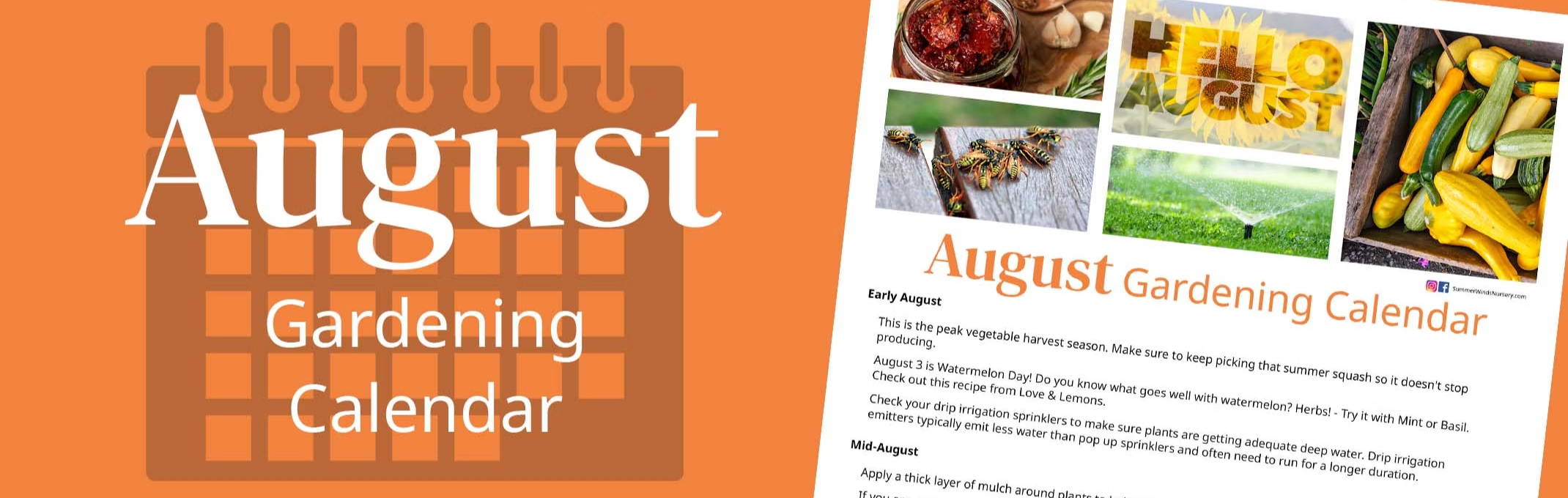 august gardening calendar tips