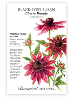 A packet of Black-Eyed Susan Cherry Brandy Flower Seeds by Botanical Interests