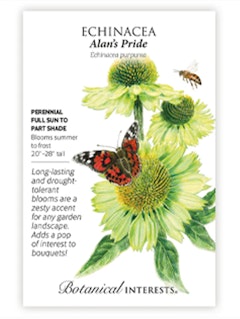 A packet of Echinacea Alan's Pride Flower Seeds by Botanial Interests