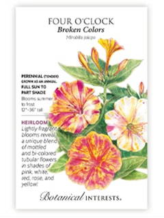 A packet of Four O'Clock Broken Colors Flower Seeds by Botanical Interests
