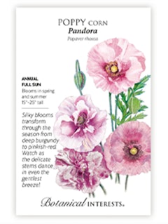 A packet of Poppy Corn Pandora Flower Seeds by Botanical Interests
