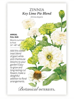 A packet of Zinnia Key Lime Pie Blend Flower Seeds by Botanical Interests