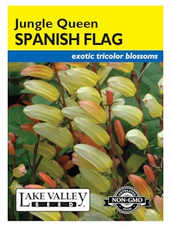 Jungle Queen Spanish Flag A packet of Jungle Queen Spanish Flag flower seeds from Lake Valley Seed.