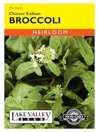 A packet of heirloom Chinese Kailaan Broccoli seeds from Lake Valley Seed.