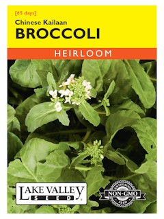 A packet of heirloom Chinese Kailaan Broccoli seeds from Lake Valley Seed.
