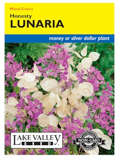 Honesty Lunaria Seeds A packet of Mixed Colors Honesty Lunaria Flower Seeds by Lake Valley Seed.
