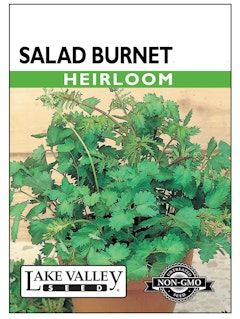 Salad Burnet A packet of heirloom salad burnet seeds from Lake Valley Seed.