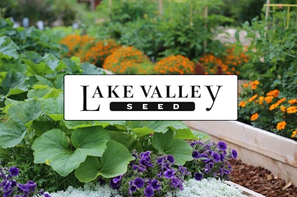 Edible plants and flowers in raised garden beds with Lake Valley Seed logo in the center of the picture.
