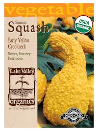 A packet of organic summer squash seeds from Lake Valley Organics.