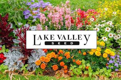 A variety of flowers growing in the garden with the Lake Valley Seed logo centered on it.