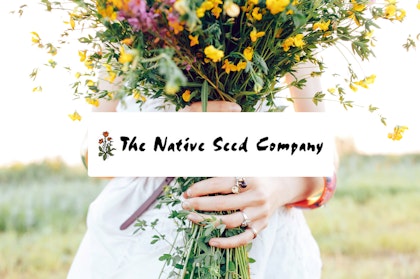 A woman holding a bouquet of wildflower seeds.