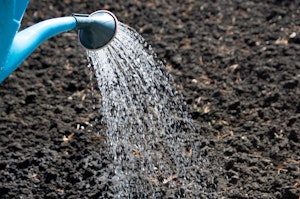 Watering Freshly Tilled & Amended Soil