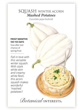 Mashed Potatoes Winter Acorn Squash - Botanical Interests A packet of Mashed Potatoes Winter Acorn Squash Seeds from Botanical Interests.