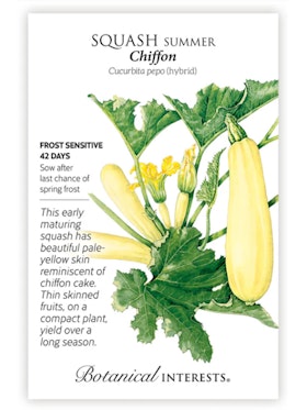 Chiffon Summer Squash - Botanical Interests A packet of Chiffon Summer Squash Seeds from Botanical Interests.
