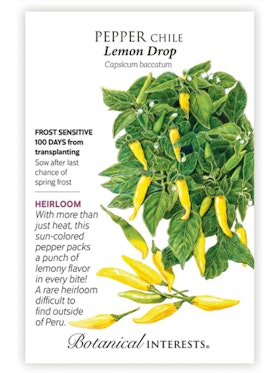 Lemon Drop Chile Pepper - Botanical Interests A packet of Lemon Drop Chile Pepper Seeds by Botanical Interests.