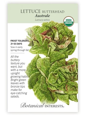 Australe Butterhead Lettuce - Botanical Interests A packet of Australe Butterhead Lettuce seeds from Botanical Interests.