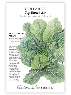 Top Bunch 2.0 Collards - Botanical Interests A packet of Top Bunch 2.0 Collards seeds from Botanical Interests.