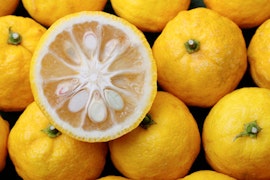 yuzu citrus whole and one sliced in half