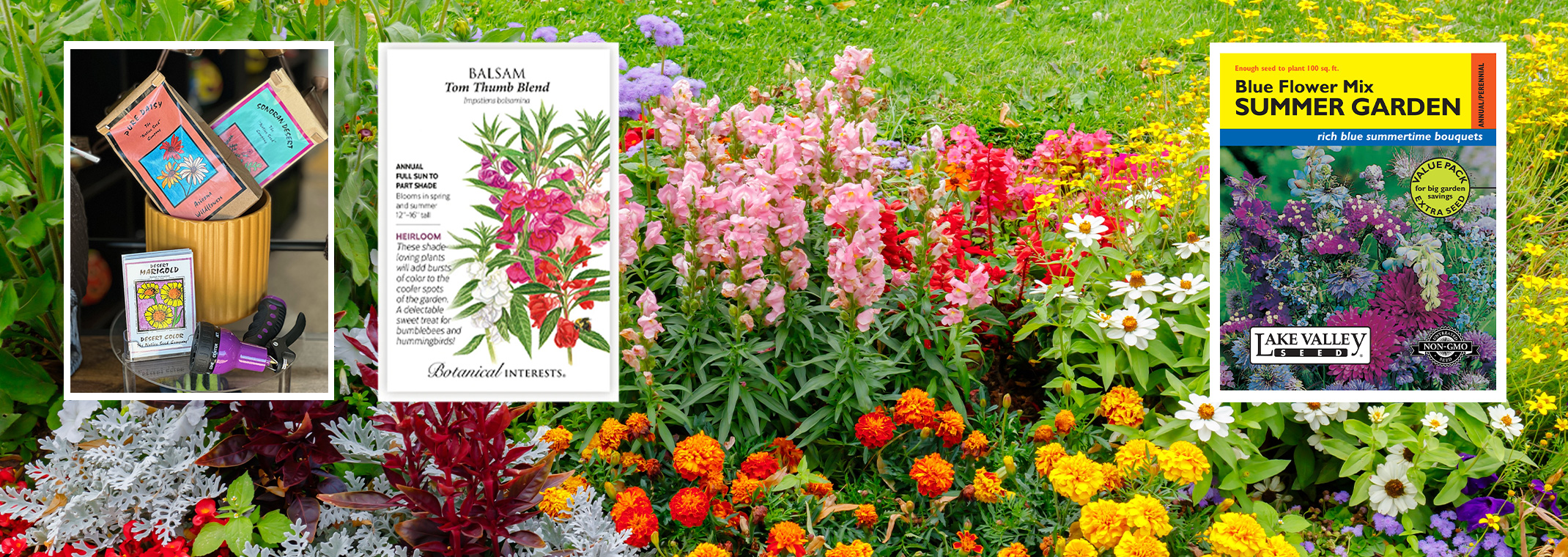 A variety of flower seed packets on a photo of flowers growing in a garden.