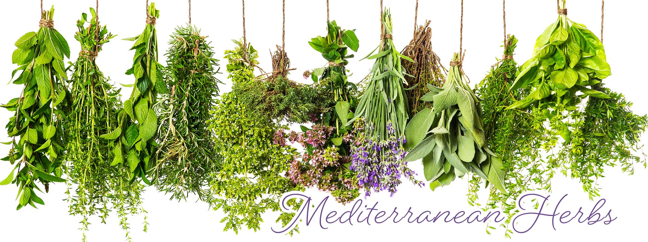 mediterranean herbs hanging from string drying, assorted herbs