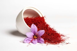 saffron herb in white bowl fresh on white background