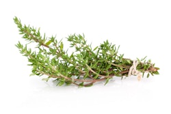 thyme fresh on white background