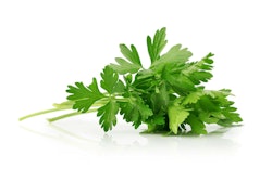 parsley herbs fresh on white background
