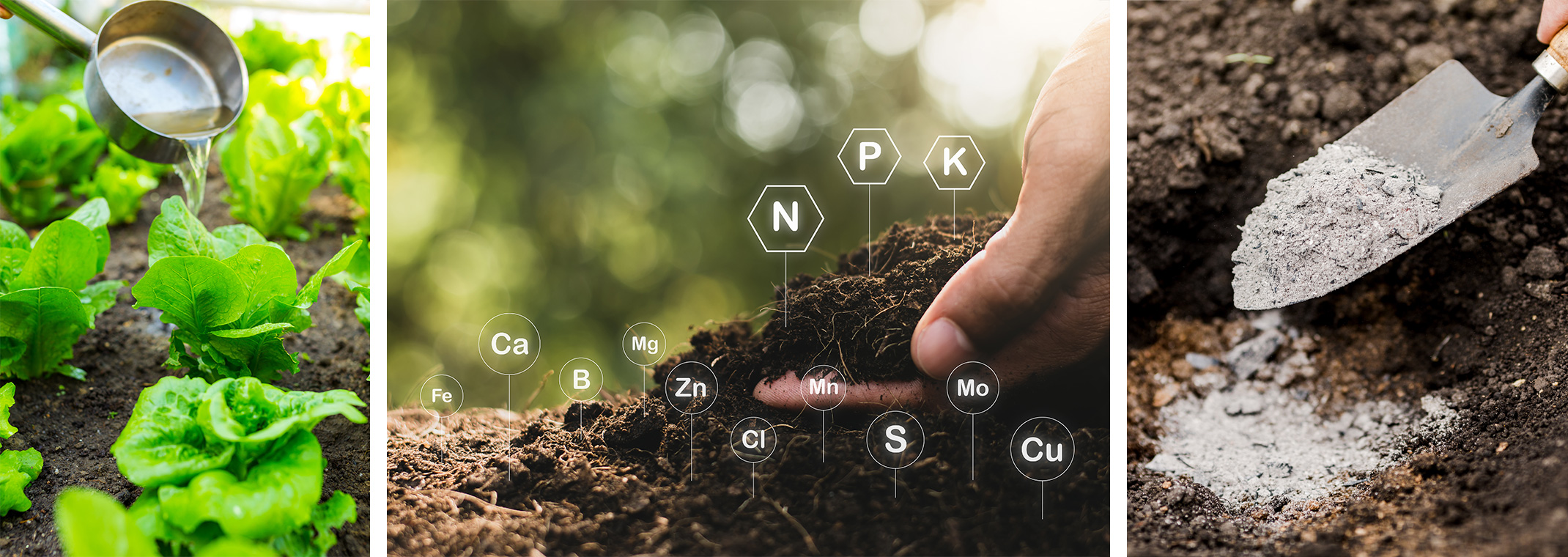 2 images of a person pouring fertilizer onto the dirt in the garden and a second image of a hand holding up dirt in the garden with elements of the soil, showing all around