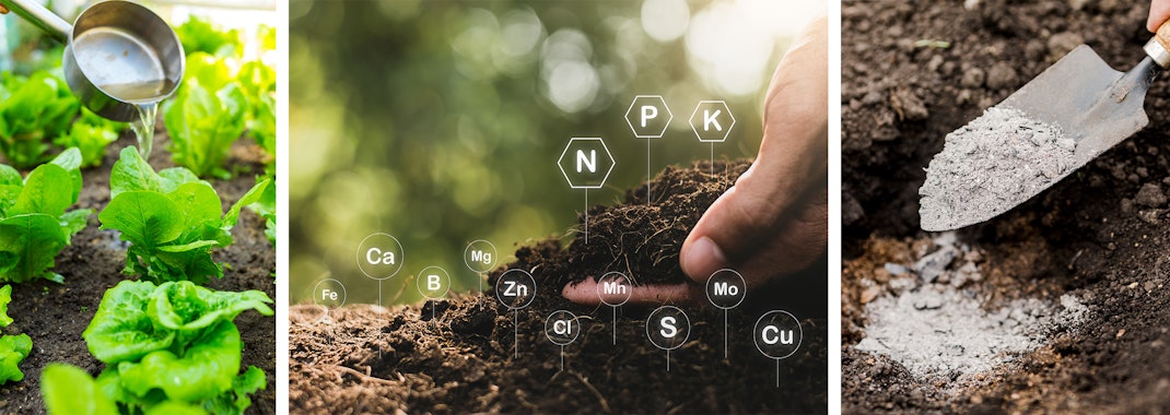 2 images of a person pouring fertilizer onto the dirt in the garden and a second image of a hand holding up dirt in the garden with elements of the soil, showing all around