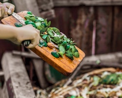 gardener scooping food scraps into compost