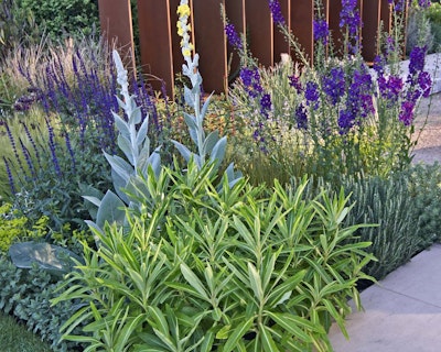 perennial garden with an assortment of perennials planted in bed