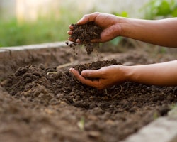 gardener prepping soil by adding ammendment