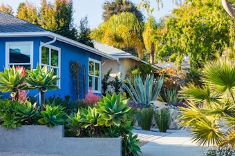 Colorful house with beautiful low-water-use plants, and other trees nearby.