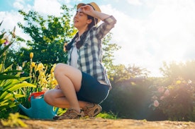 woman gardening in the heat, sun beating down on garden